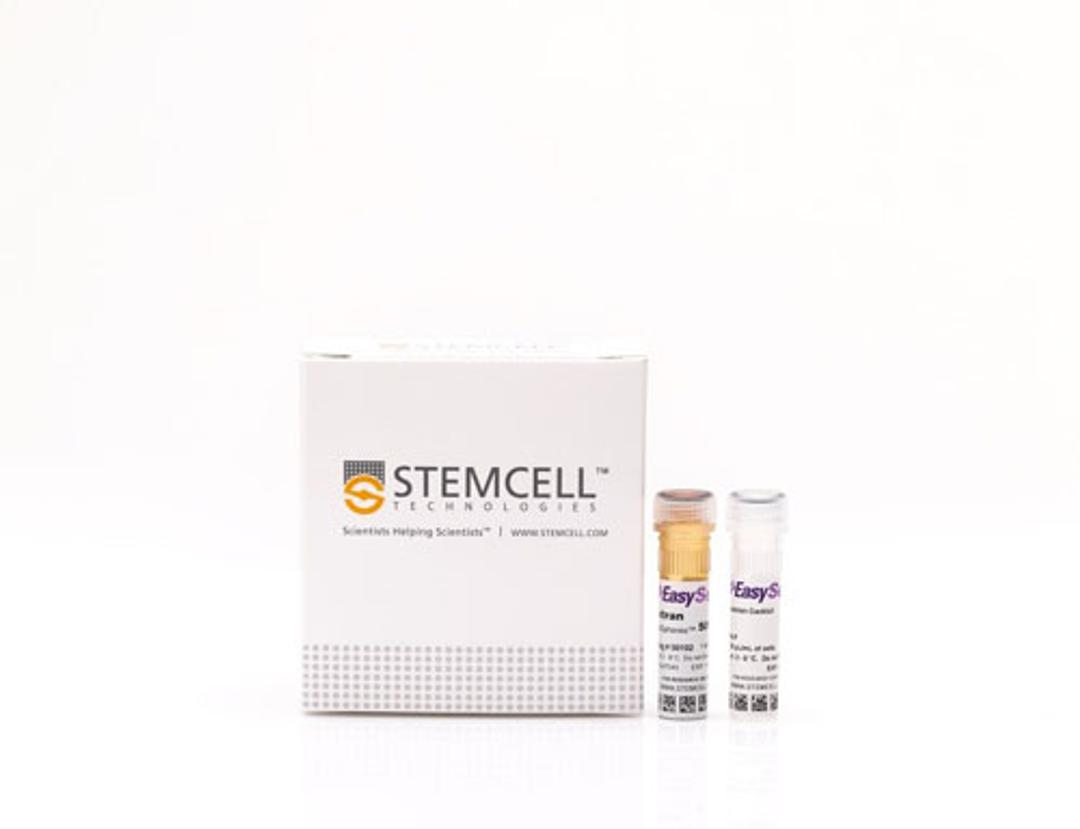 EasySep™ Rat B Cell Isolation Kit - STEMCELL Technologies Inc. - Life Sciences