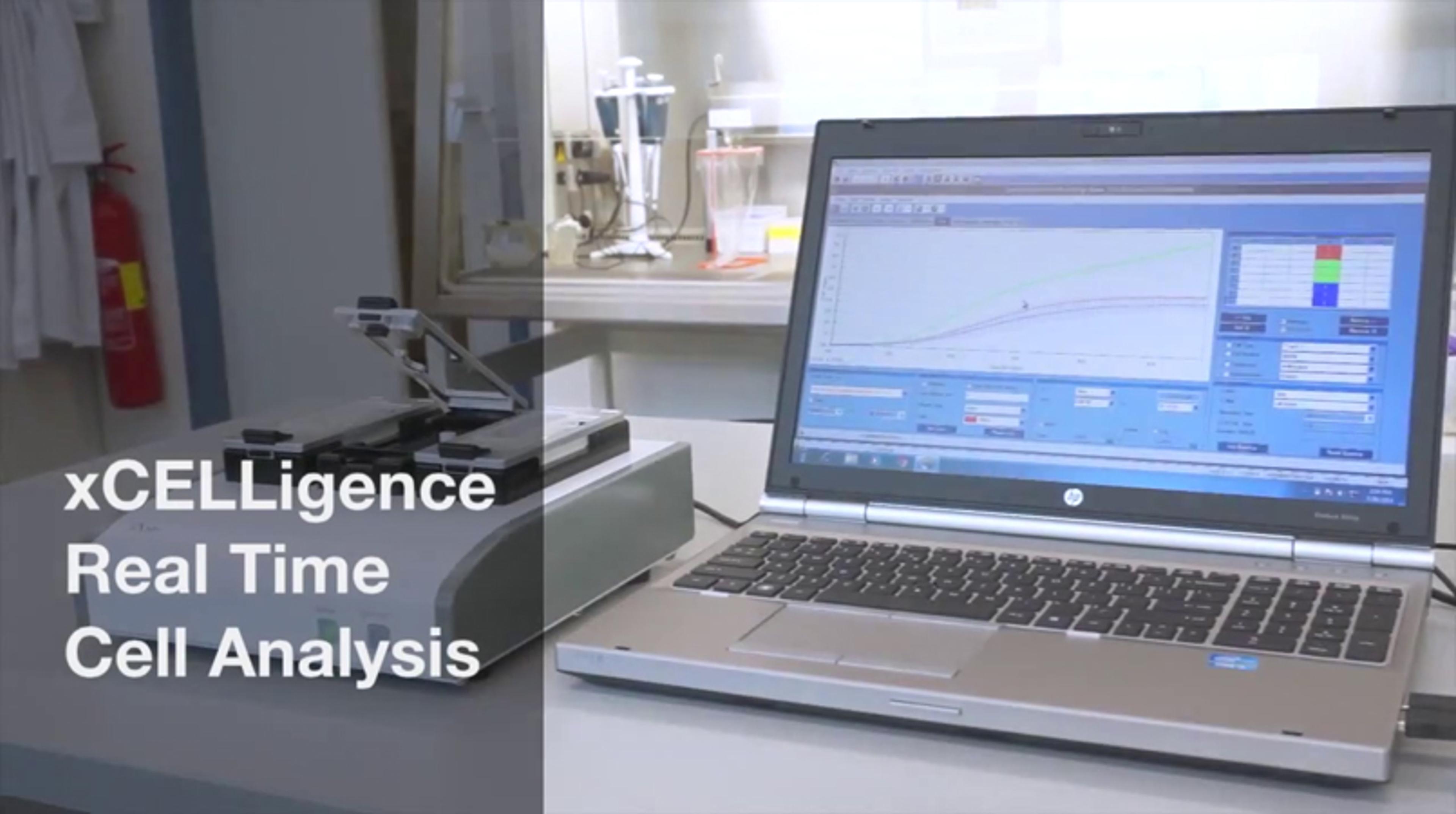 Cell Migration Assay with xCELLigence DP Cell Migration Assay with xCELLigence DP
