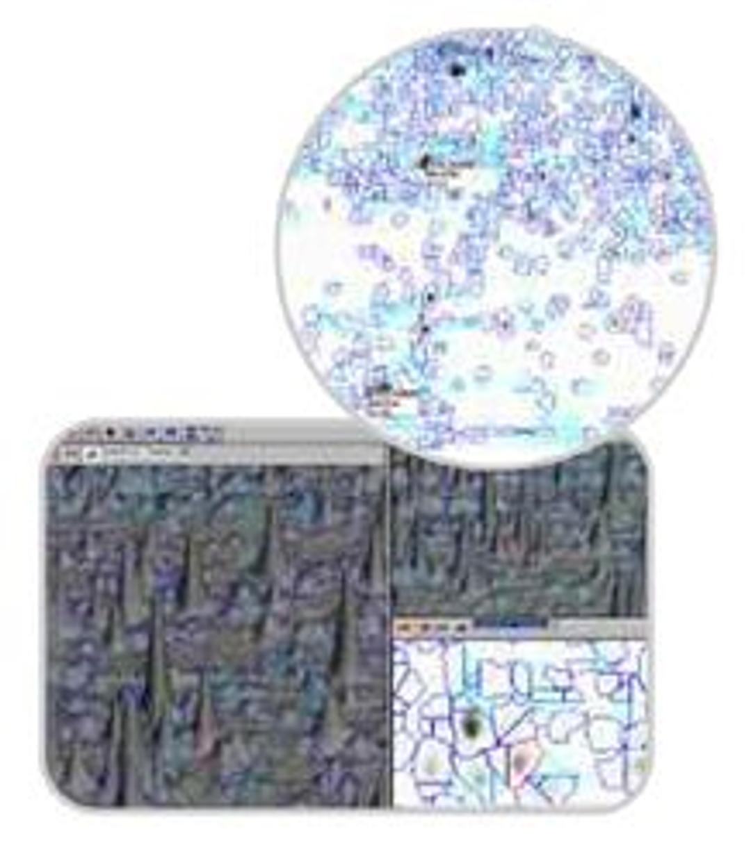 DYMENSION 2 - Syngene - Life Sciences