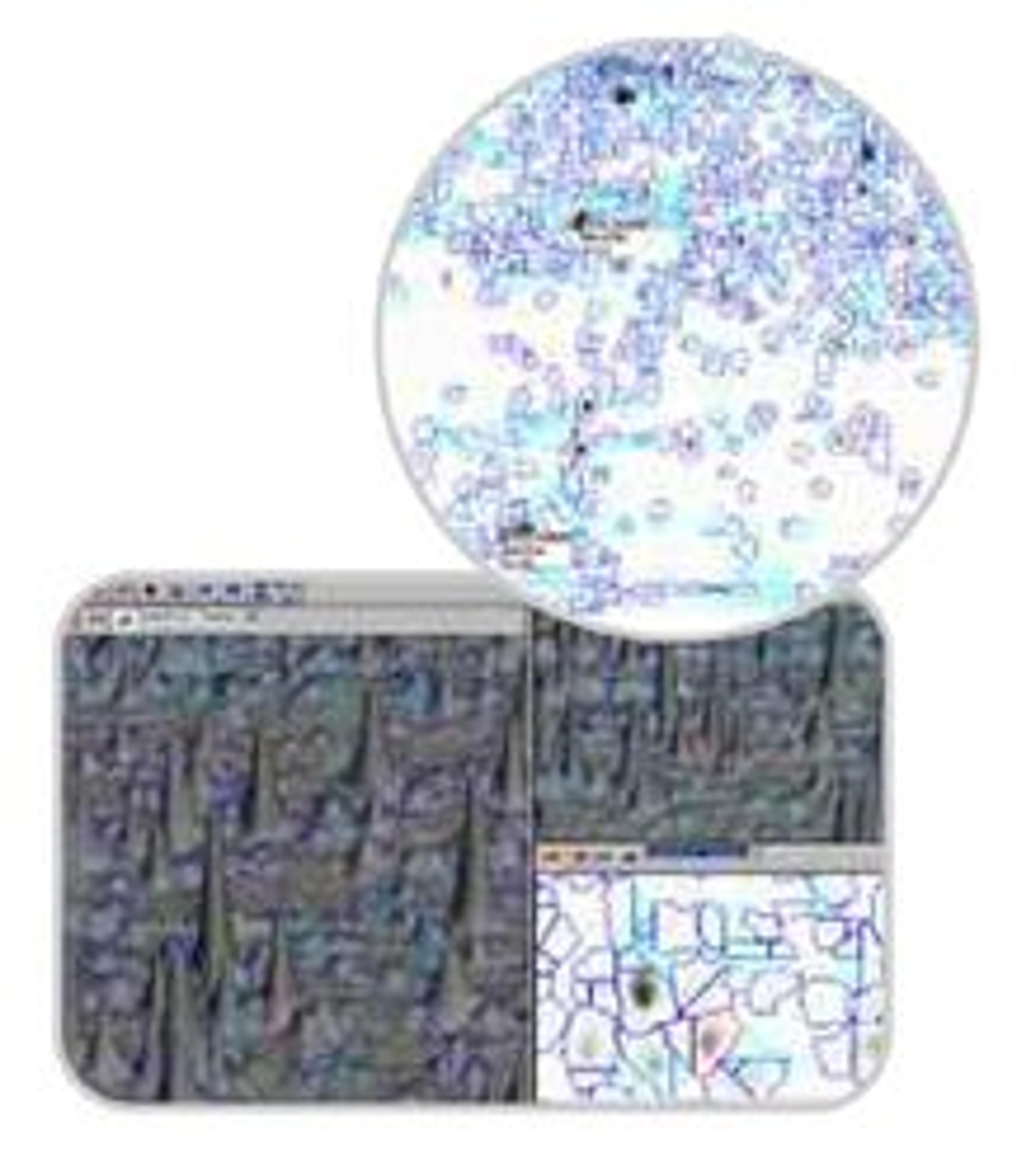 DYMENSION 2 - Syngene - Life Sciences