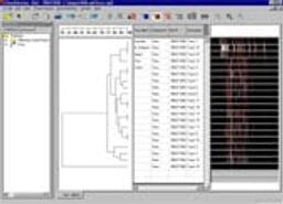 GeneDirectory - Syngene - Lab Informatics