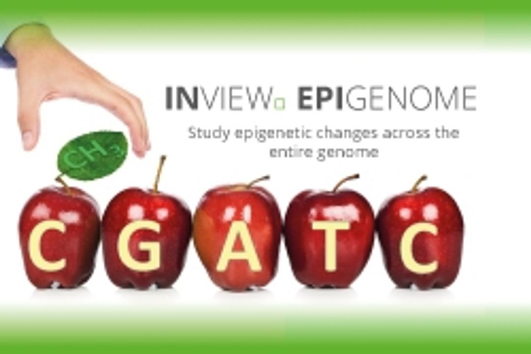 INVIEW™ EPIGENOME - GATC Biotech - Life Sciences
