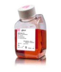 Gibco™ MEM - Minimum Essential Media - Thermo Fisher Scientific - Life Sciences