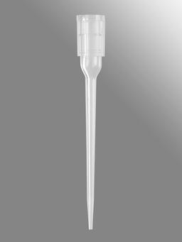 Axygen® 96-well tips, 50µL, Clear, Non-filtered, Non-sterile, SLAS Rack - Corning Life Sciences - General Lab