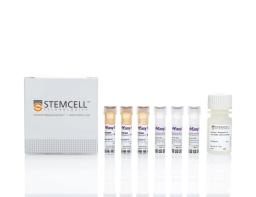 EasySep™ HLA Chimerism Whole Blood CD33 Positive Selection Kit - STEMCELL Technologies Inc. - Life Sciences