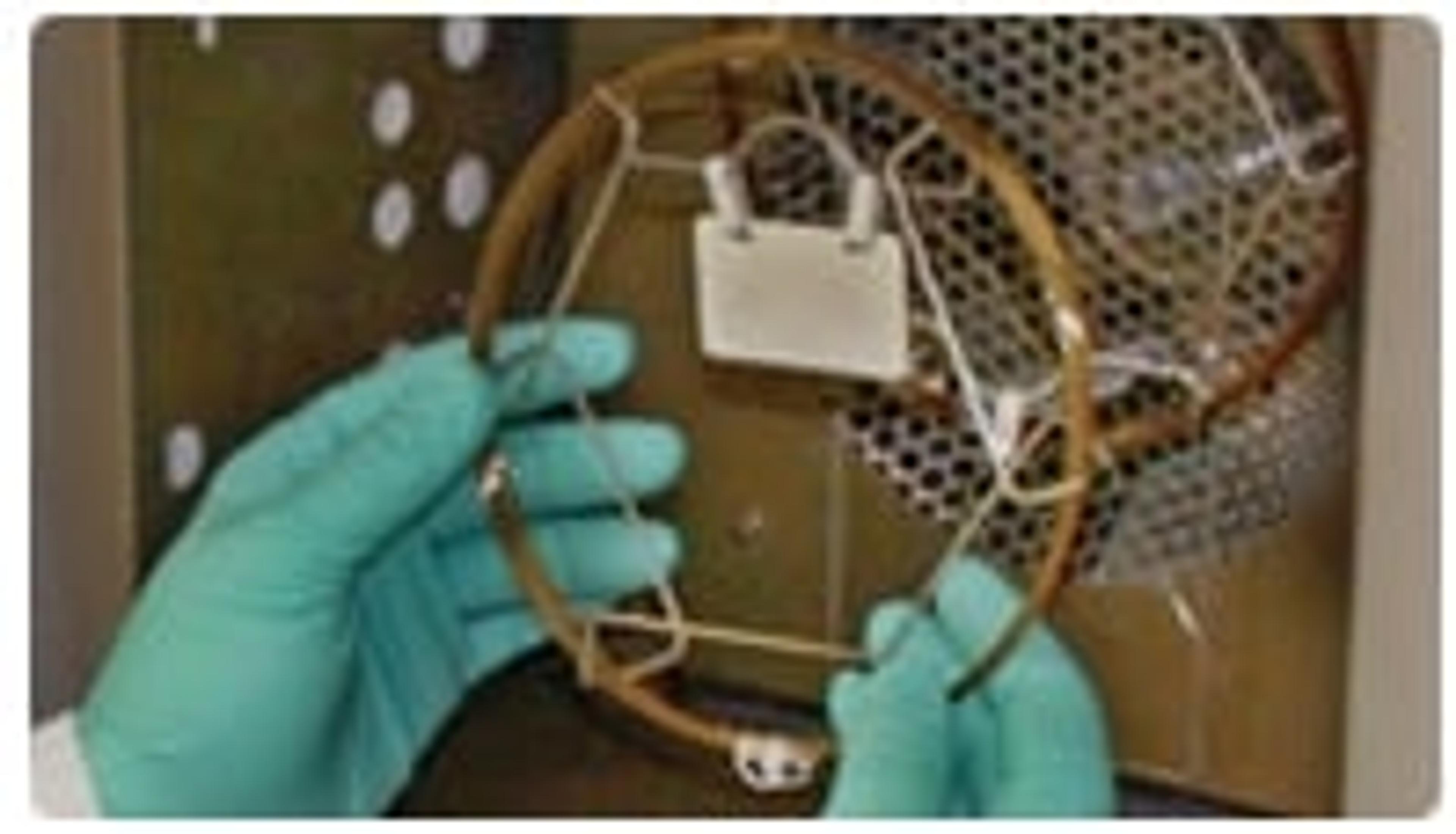 SUPELCOWAX® 10 Capillary GC Column - Sigma-Aldrich Supelco - Separations