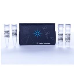 Hi-RPM Gene Expression Hybridization Kit, Large Volume - Agilent Technologies - Life Sciences
