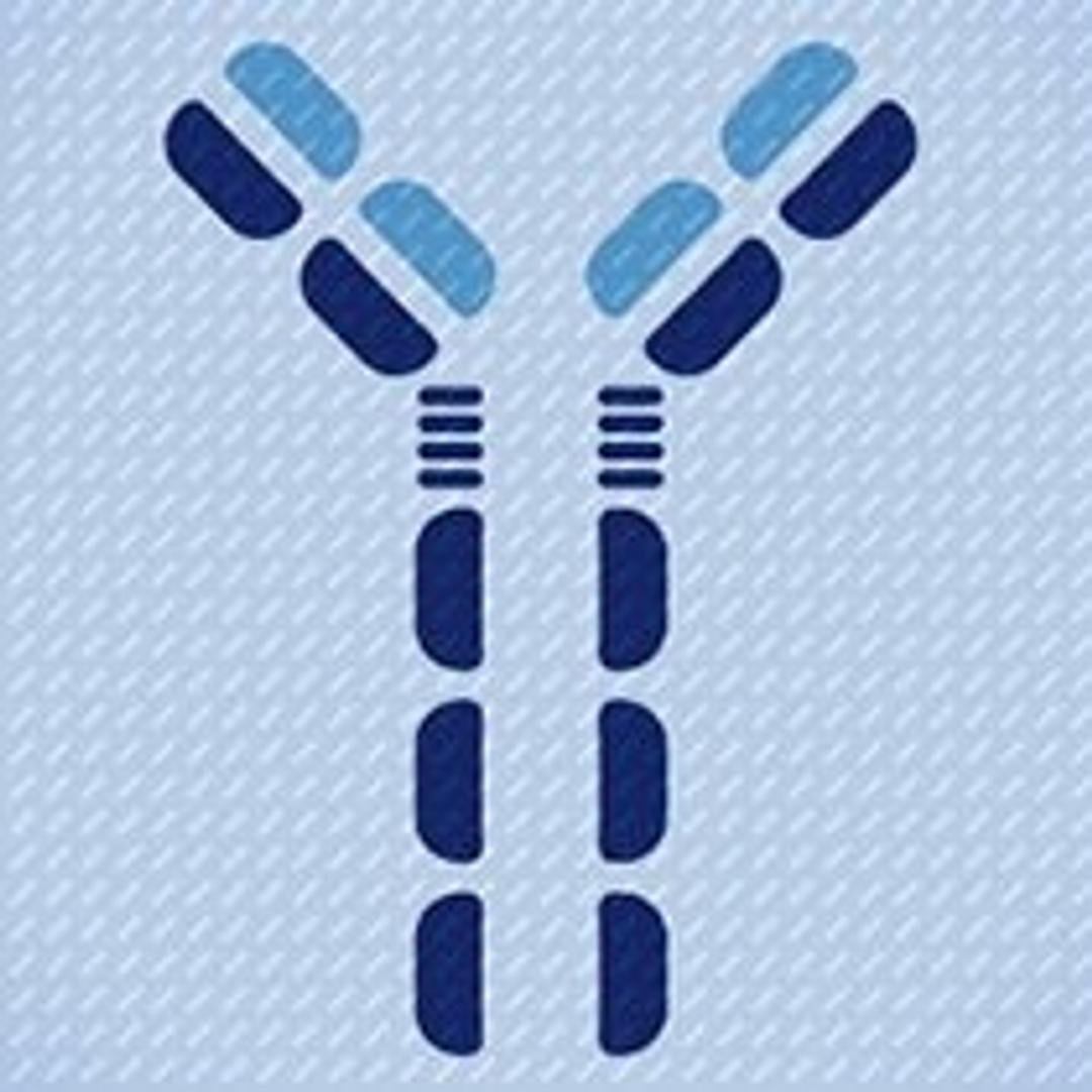 Antibodies and Immunohistochemistry Reagents - Alpha Laboratories Ltd - Life Sciences