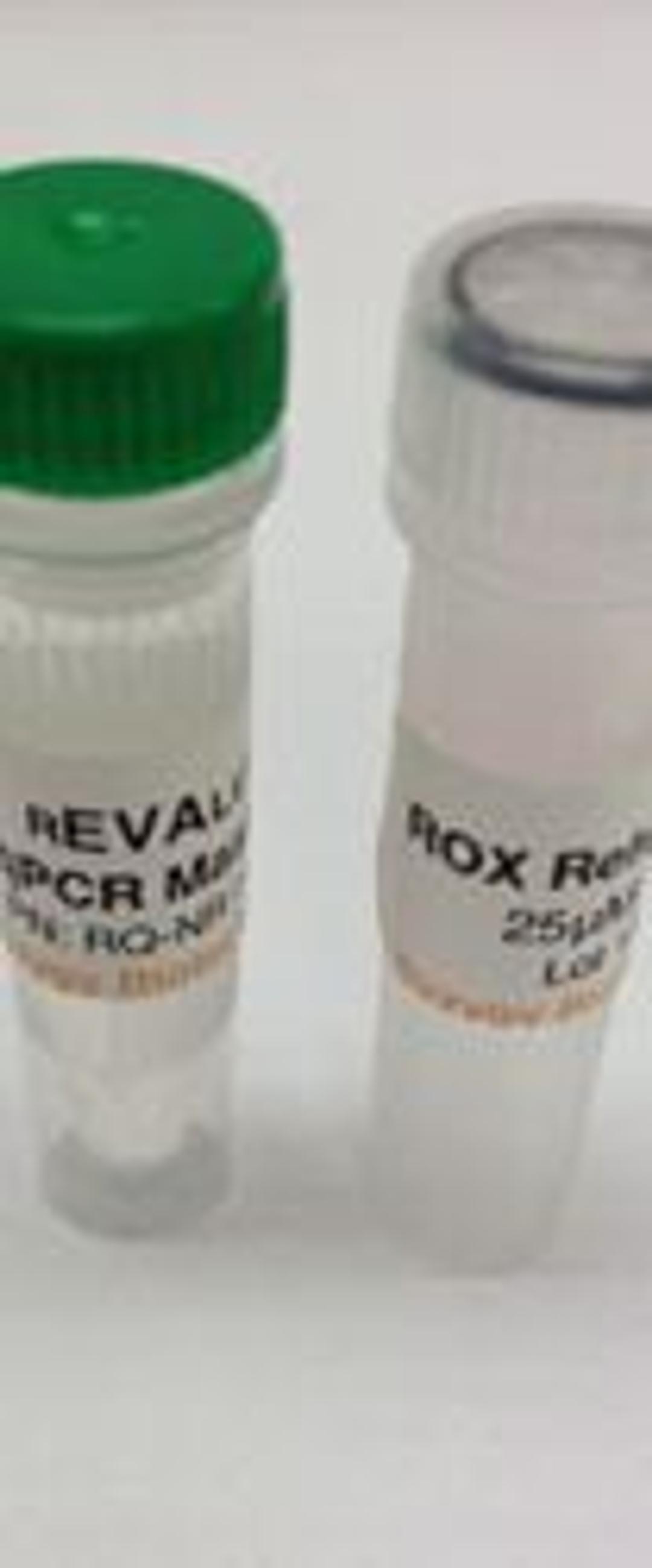 rEVAlution qPCR Master Mix - Syzygy Biotech - Life Sciences