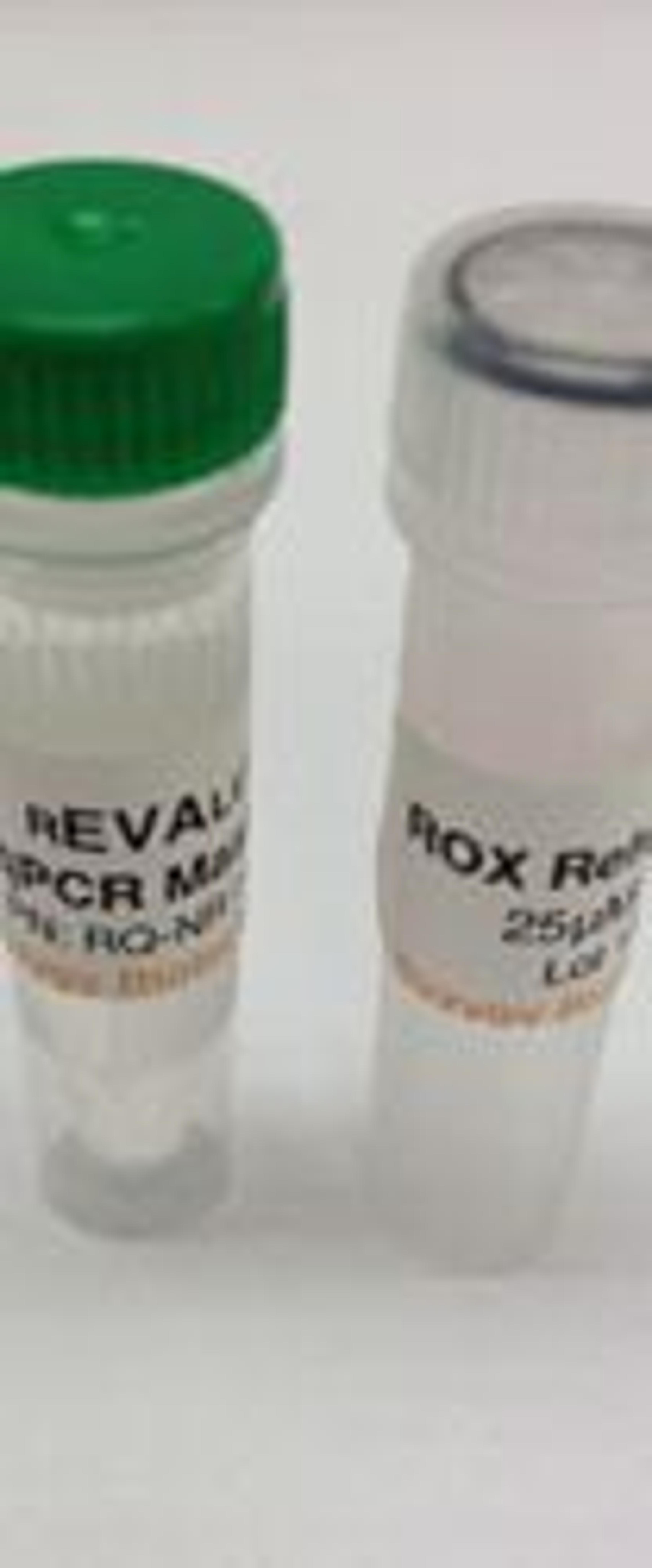 rEVAlution qPCR Master Mix - Syzygy Biotech - Life Sciences