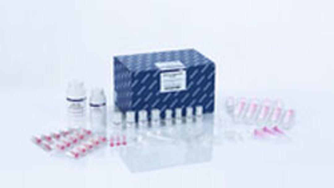 QIAamp ccfDNA/RNA Kit (50) - QIAGEN