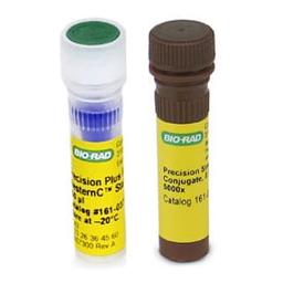 Precision Plus Protein™ WesternC™ Blotting Standards, value pack, 50 applications - Bio-Rad - Life Sciences