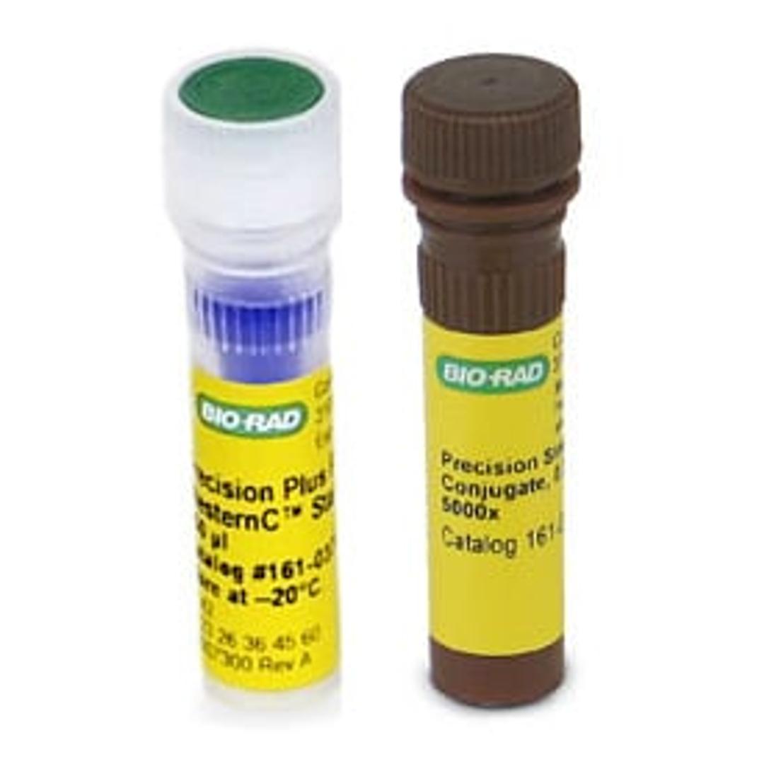 Precision Plus Protein™ WesternC™ Blotting Standards, value pack, 50 applications - Bio-Rad - Life Sciences