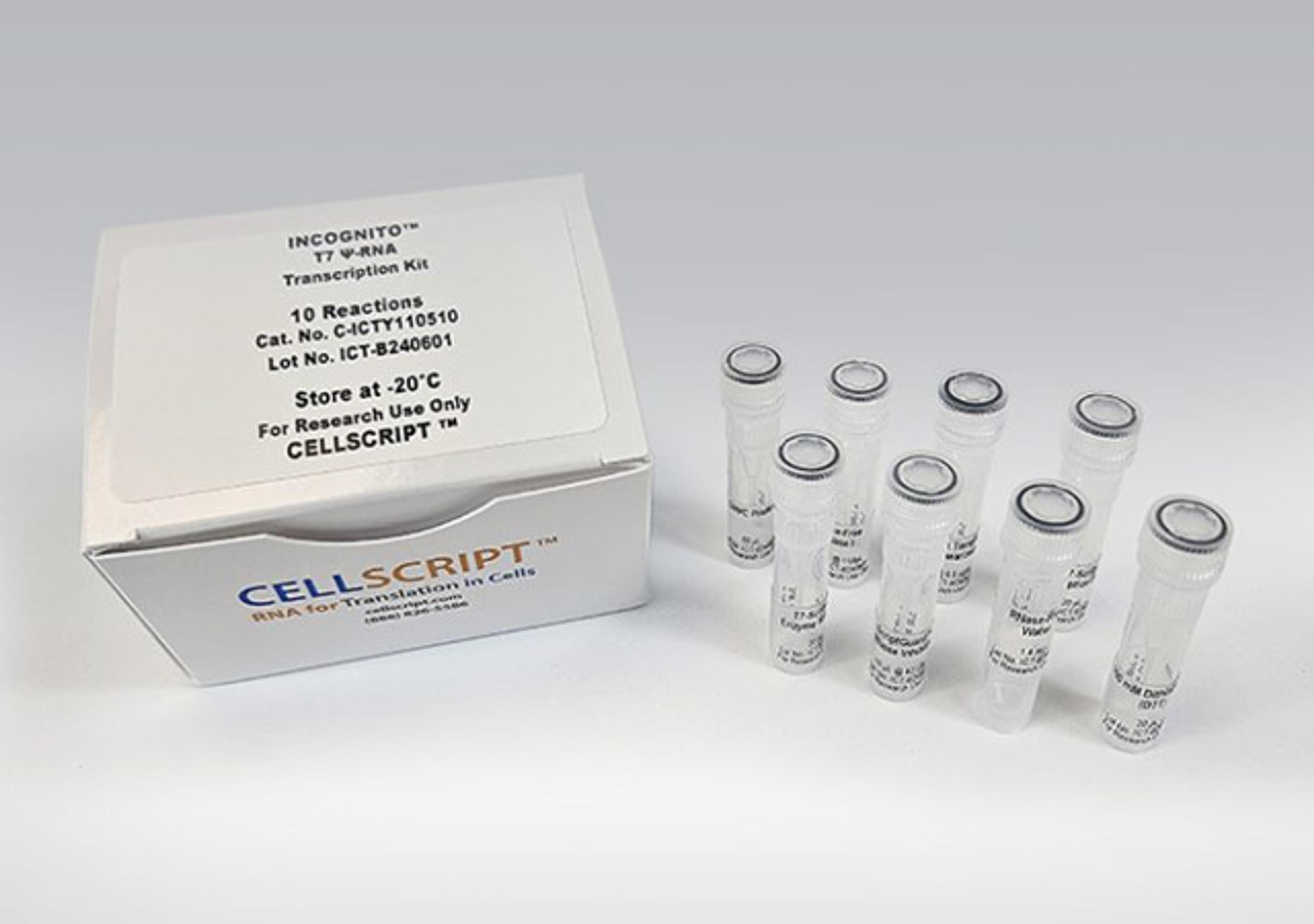 INCOGNITO™ T7 Ψ-RNA Transcription Kit - CELLSCRIPT™ - Life Sciences