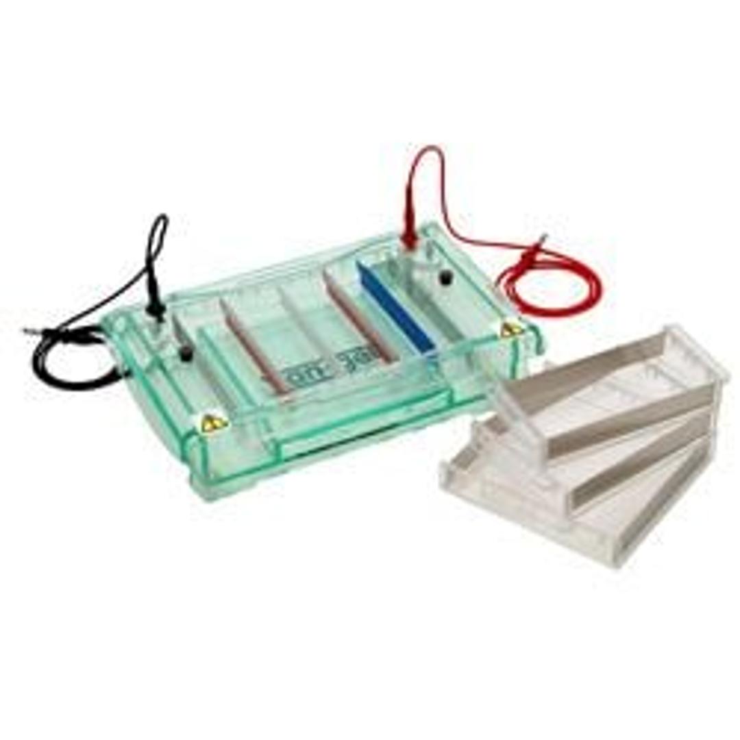 VG-SYS Vari-gel MAXI system - Scie-Plas Ltd - Life Sciences