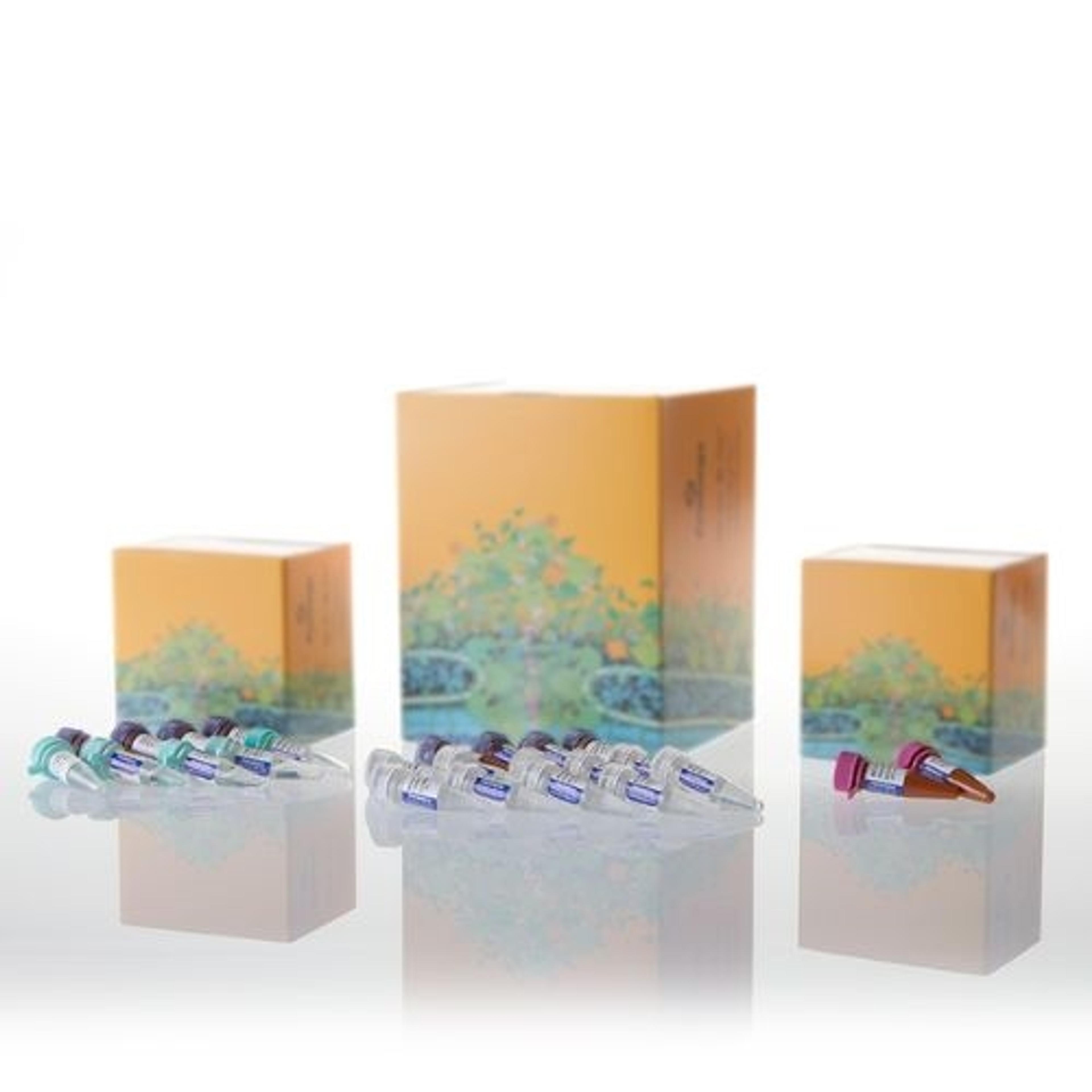 PowerPlex® ESX 17 and ESI 17 Fast Systems - Promega Corp. - Forensics