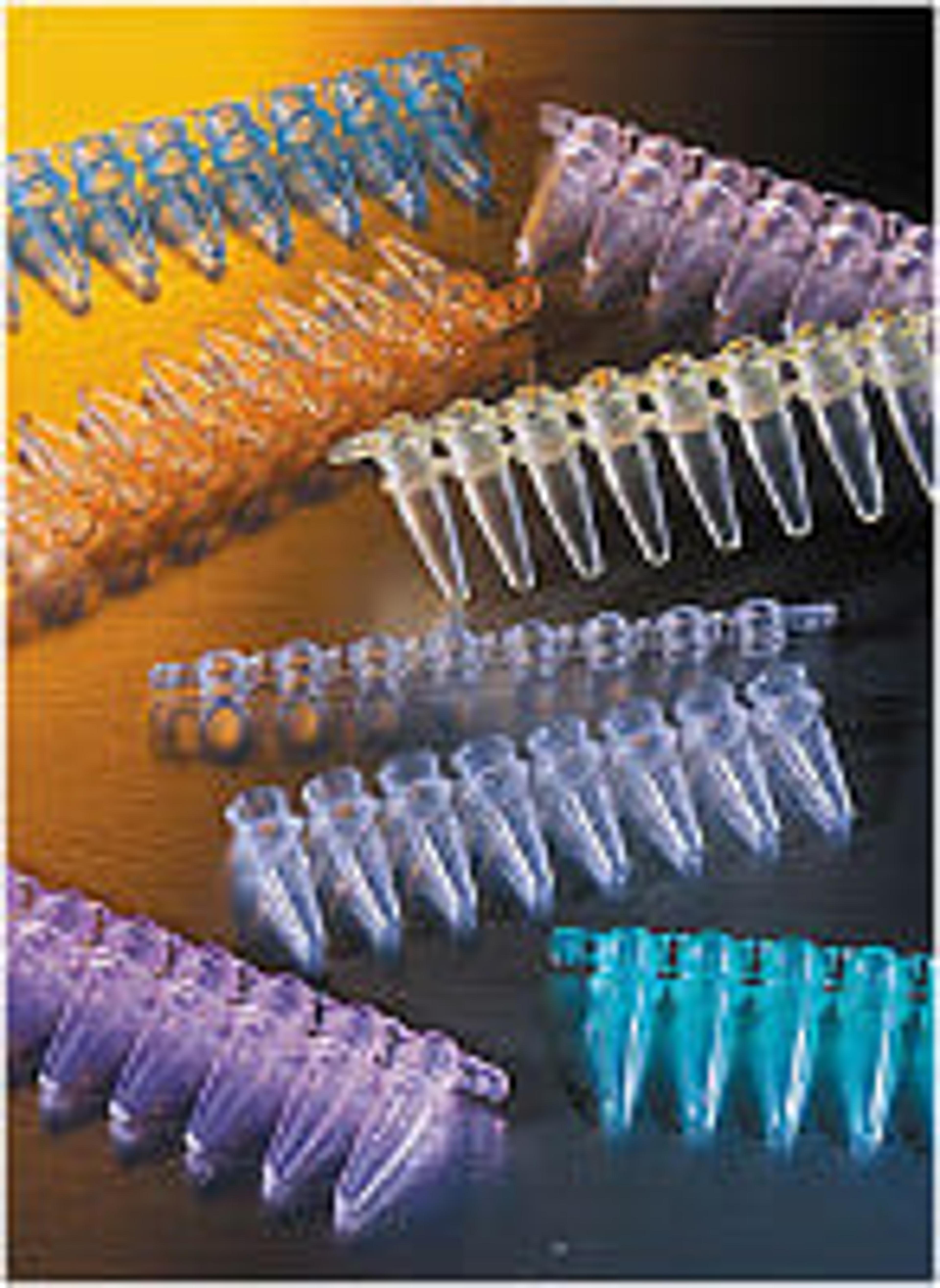Corning® Thermowell™ GOLD 0.2 mL Polypropylene PCR Tubes, 8-well Strips, Clear - Corning Life Sciences - Life Sciences
