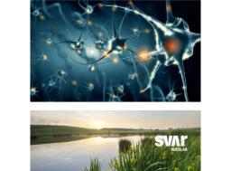 Neurological Diagnostics - Svar Life Science AB - Clinical Diagnostics