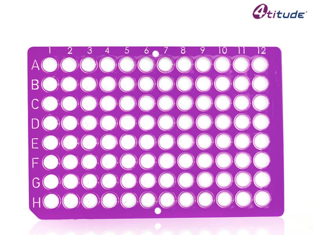 4titude® FrameStar® 96 Well Non-Skirted Low Profile PCR Plate (Purple, Clear Wells) - Brooks Life Sciences - Life Sciences