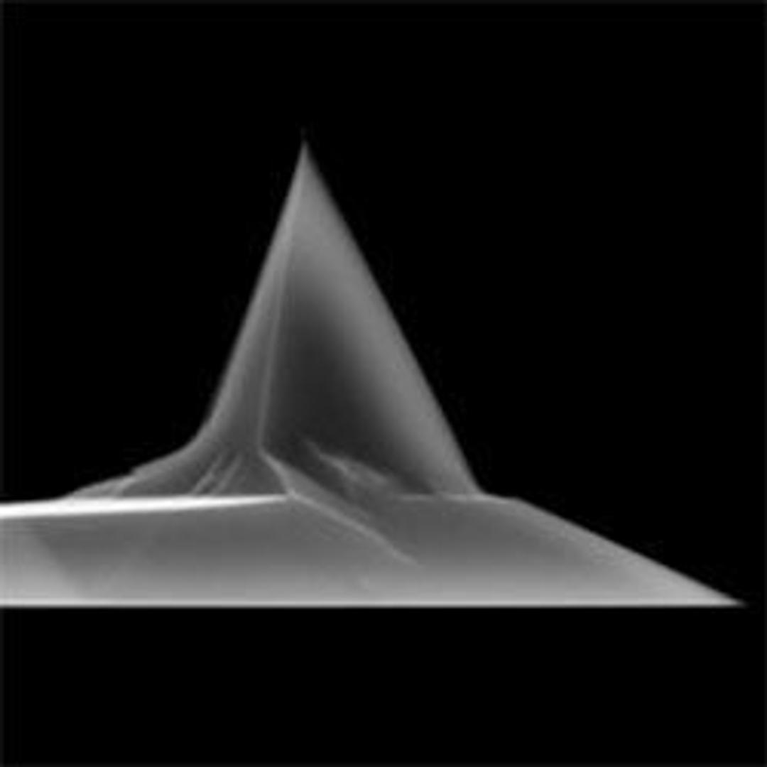 CSG30 AFM-Mode Probes - K-TEK Nanotechnology - Life Sciences