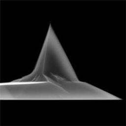 CSG30 AFM-Mode Probes - K-TEK Nanotechnology - Life Sciences