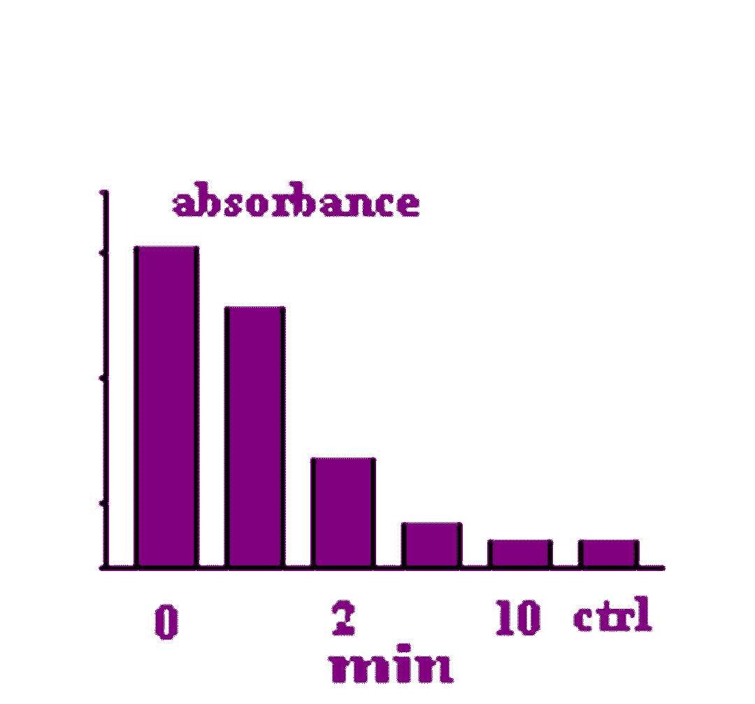 PiBind - Innova Biosciences Ltd. - Drug Discovery & Development