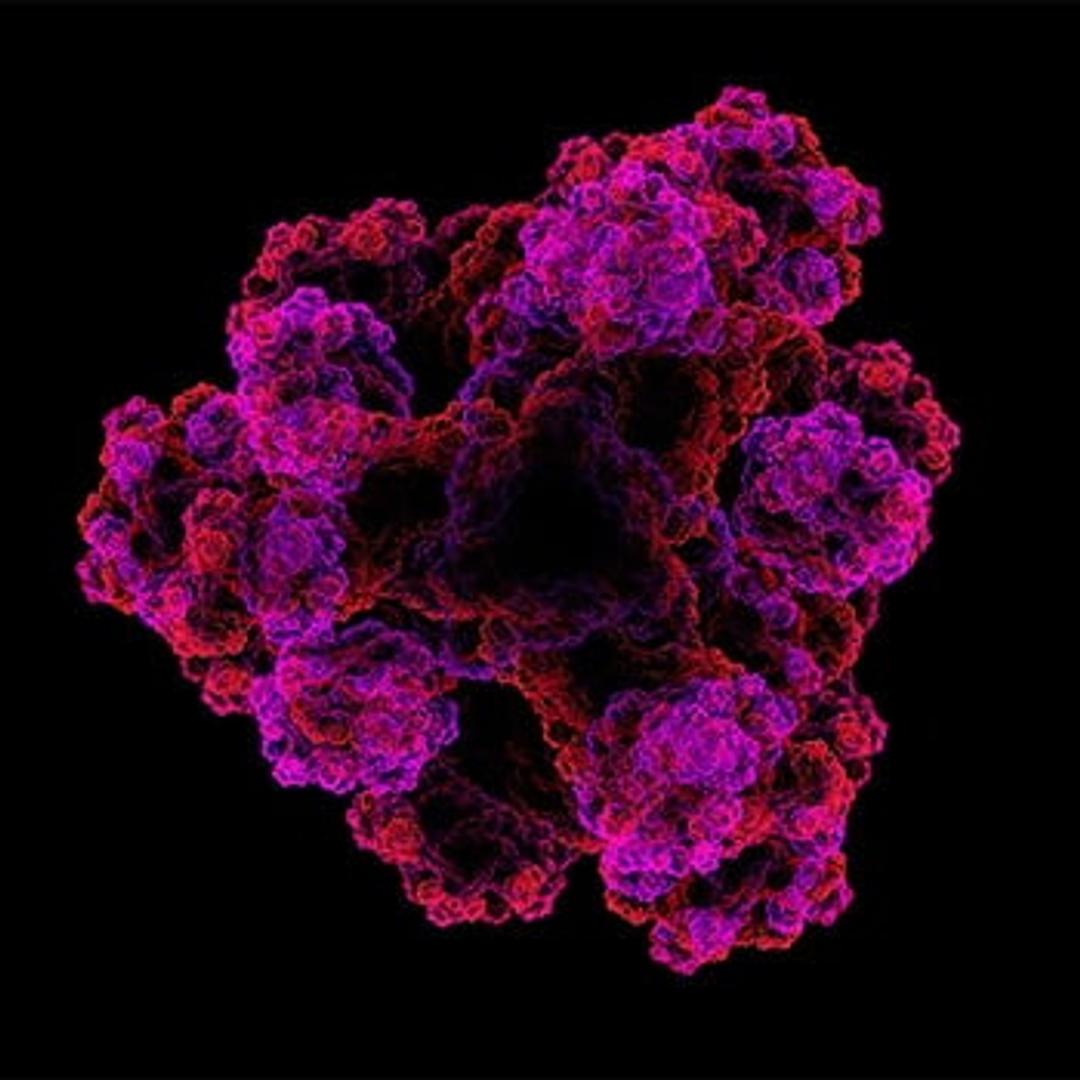 Automated Protein Sequencing Chemicals & Reagents - Alpha Laboratories Ltd - Life Sciences