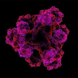 Automated Protein Sequencing Chemicals & Reagents - Alpha Laboratories Ltd - Life Sciences