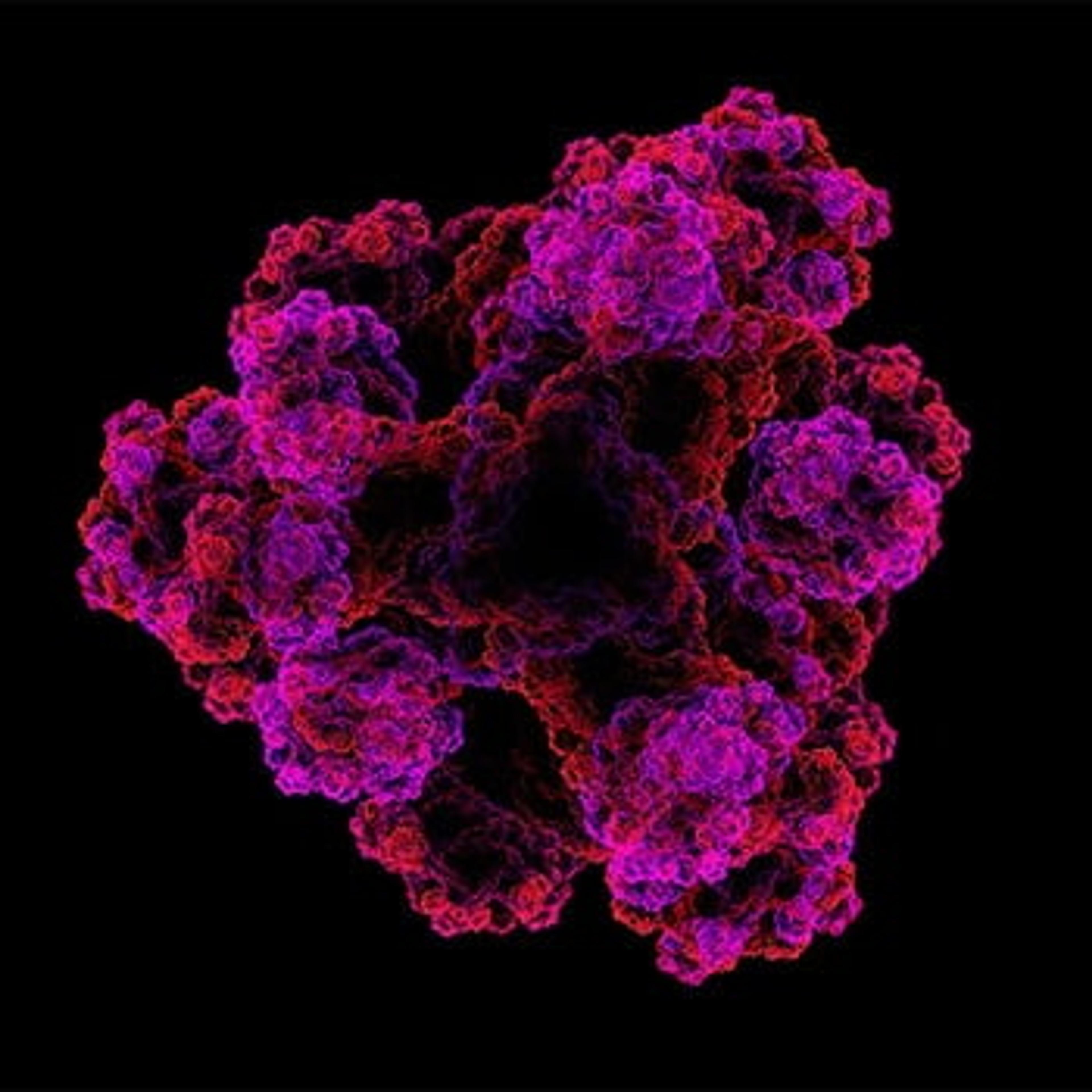 Automated Protein Sequencing Chemicals & Reagents - Alpha Laboratories Ltd - Life Sciences