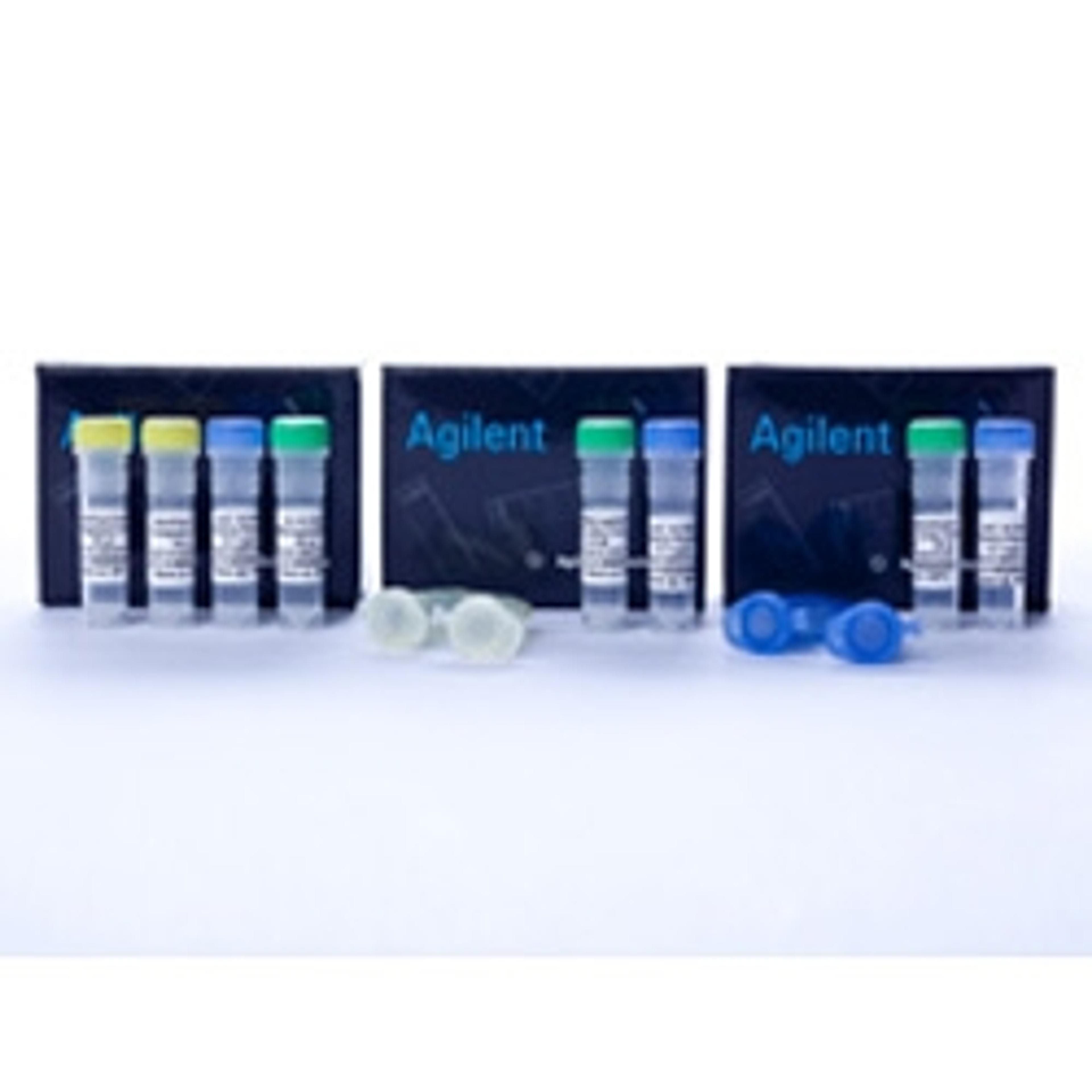 XL2-Blue MRF’ Ultracompetent Cells - Agilent Technologies - Life Sciences