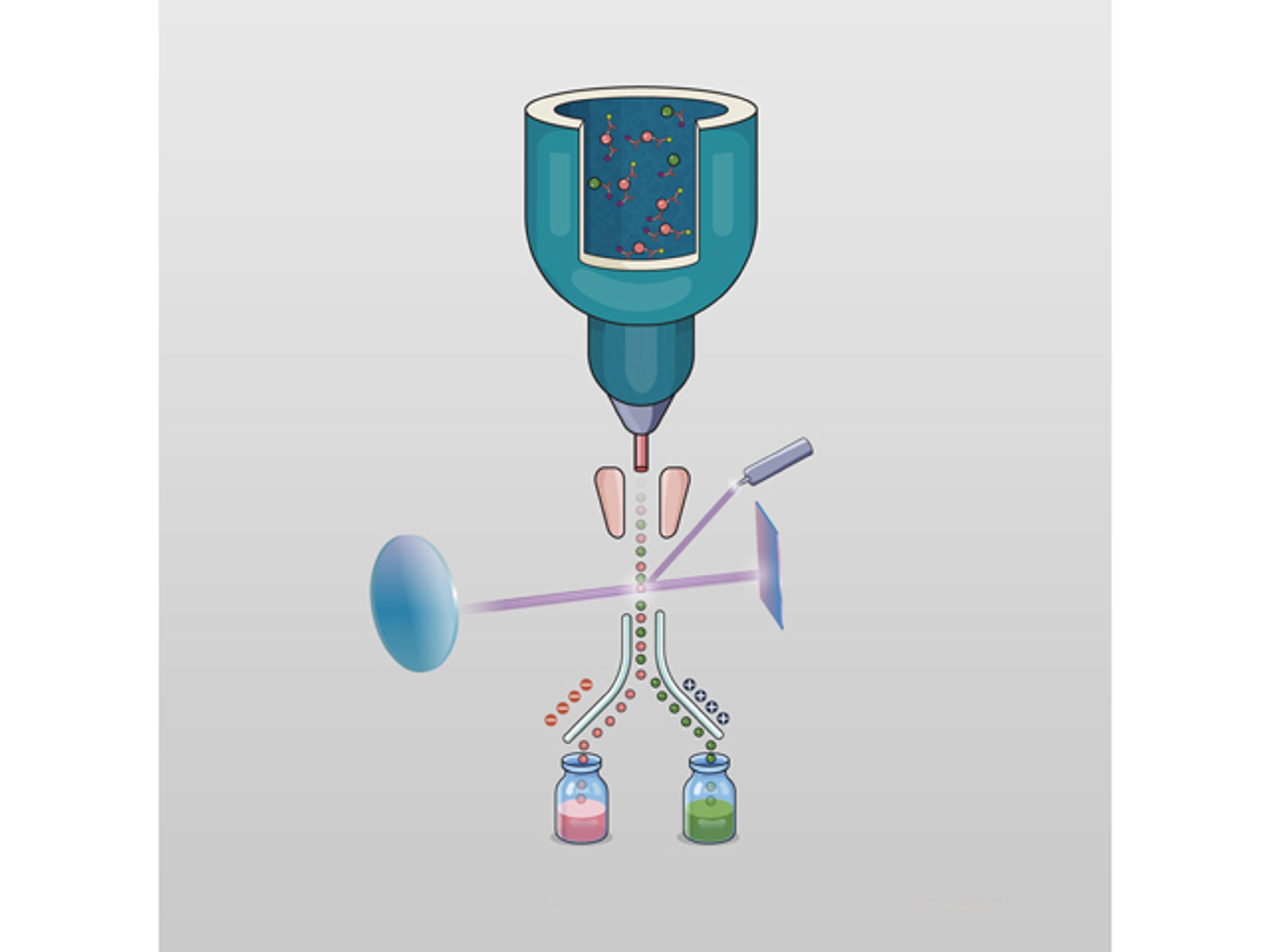 Flow Cytometry Services - Crown Bioscience - Drug discovery > Pre-Clinical Development