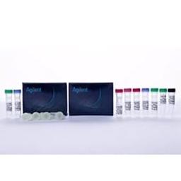 Strand Specific RNA Library Preparation Kits - Agilent Technologies - Life Sciences