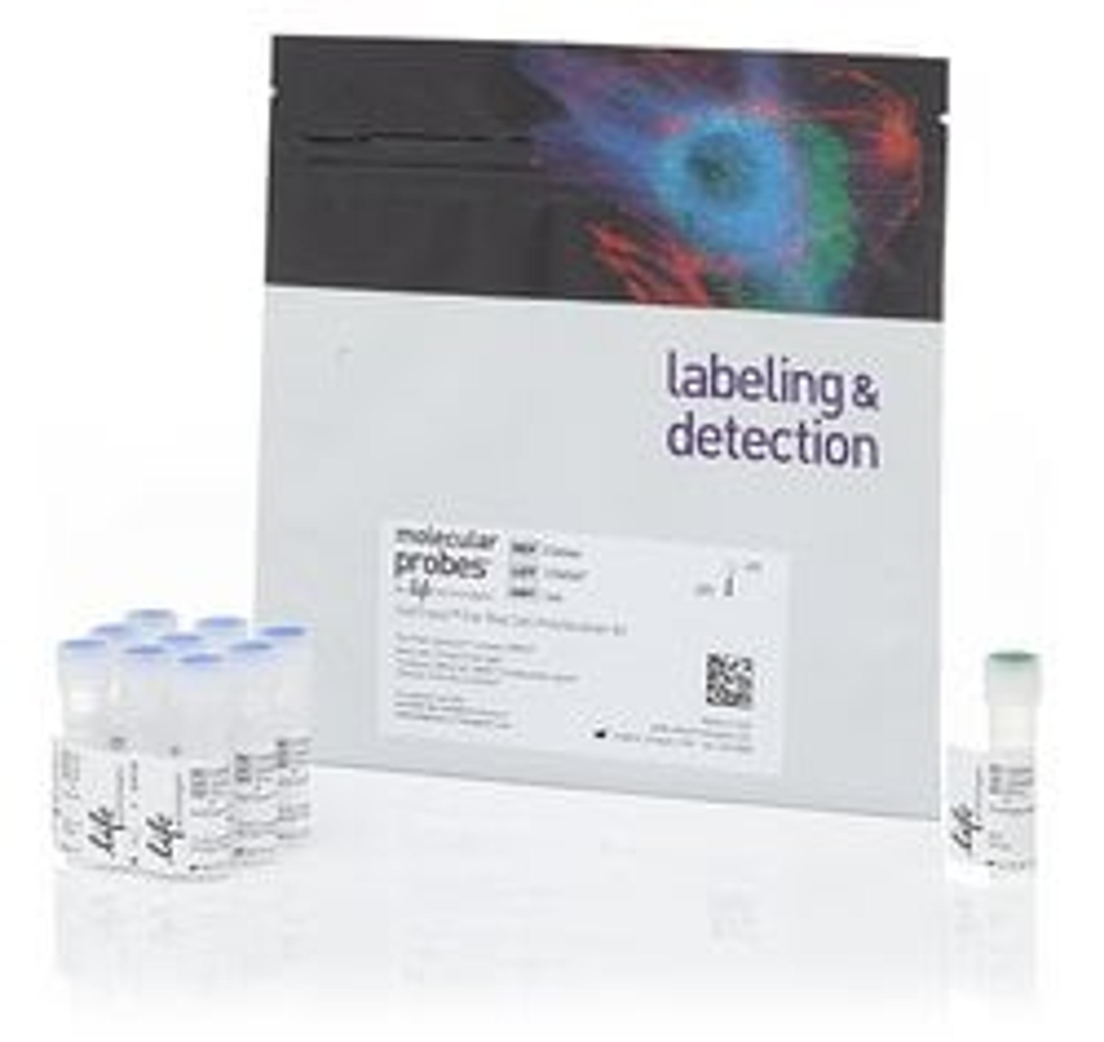 Invitrogenâ„¢ CellTraceâ„¢ Far Red Cell Proliferation Kit - Thermo Fisher Scientific - Life Sciences