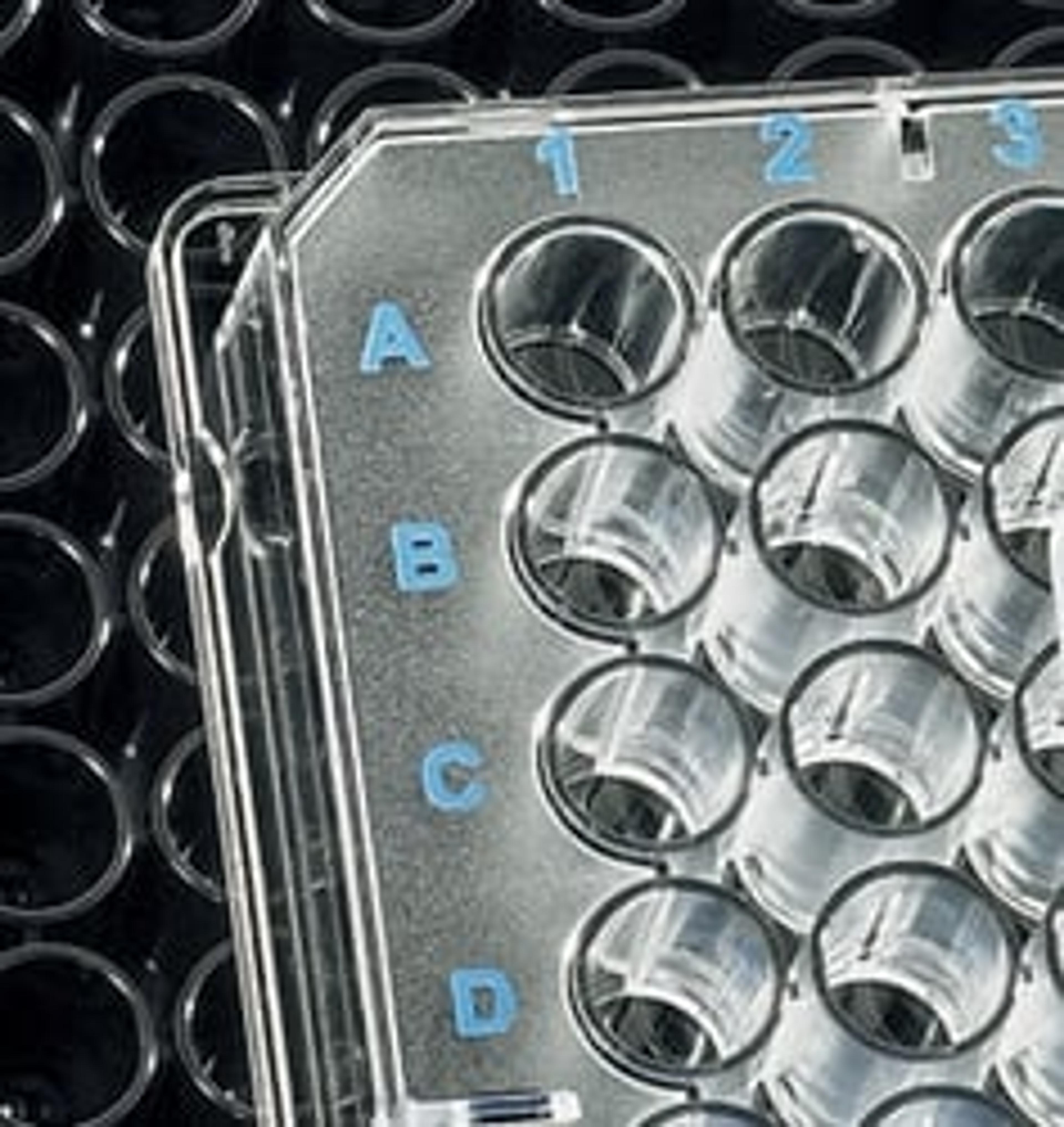 BRANDplates Immunology Microplates - immunoGrade, hydroGrade™ and lipoGrade™ - BRANDTECH® Scientific, Inc. - Life Sciences