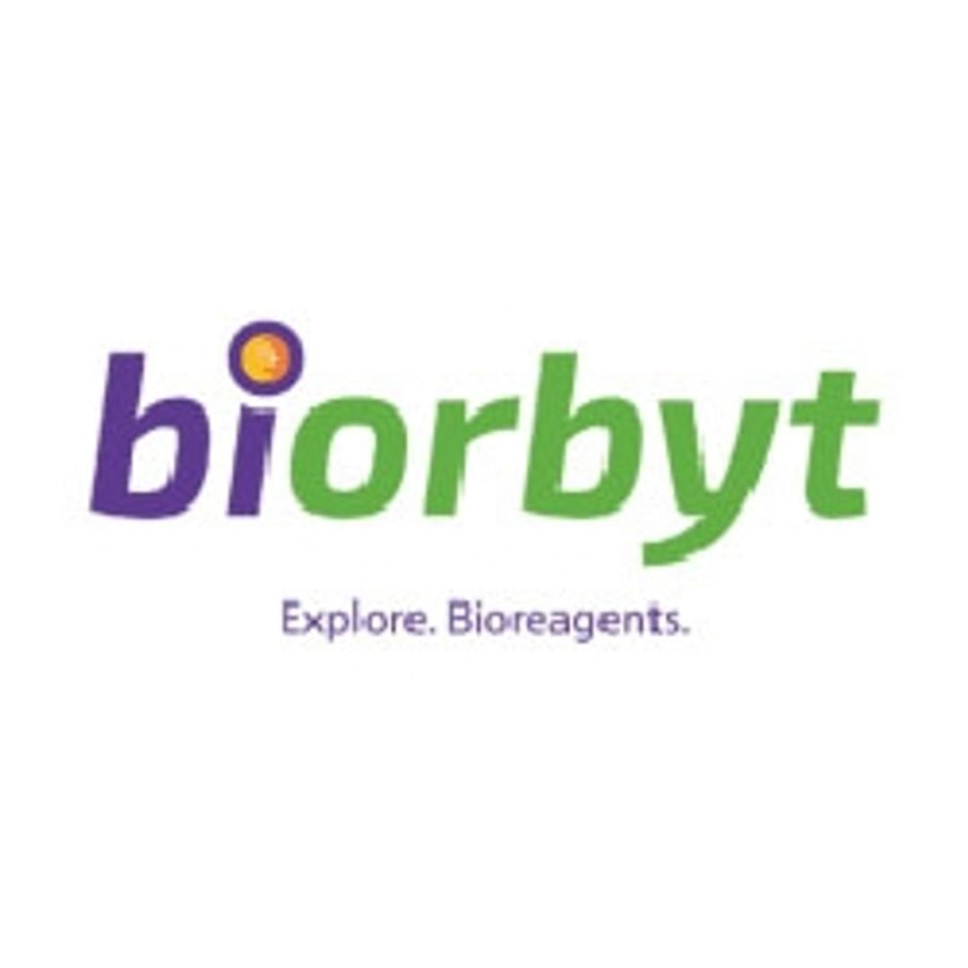 Biotin-11-ddUTP (Biotin) - Biorbyt - General Lab