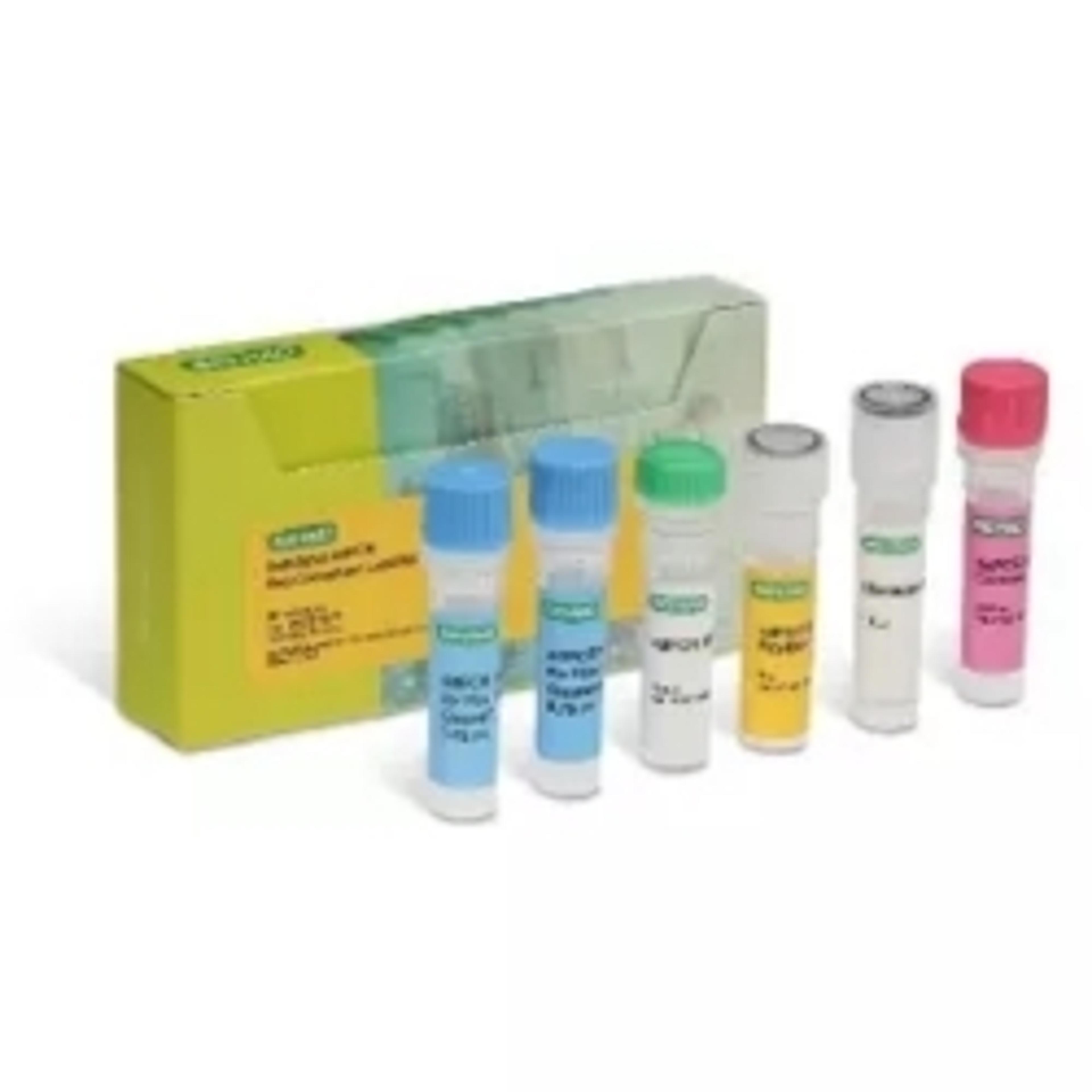 Vericheck ddPCR Replication Competent Lentivirus Kit - Bio-Rad - Life Sciences