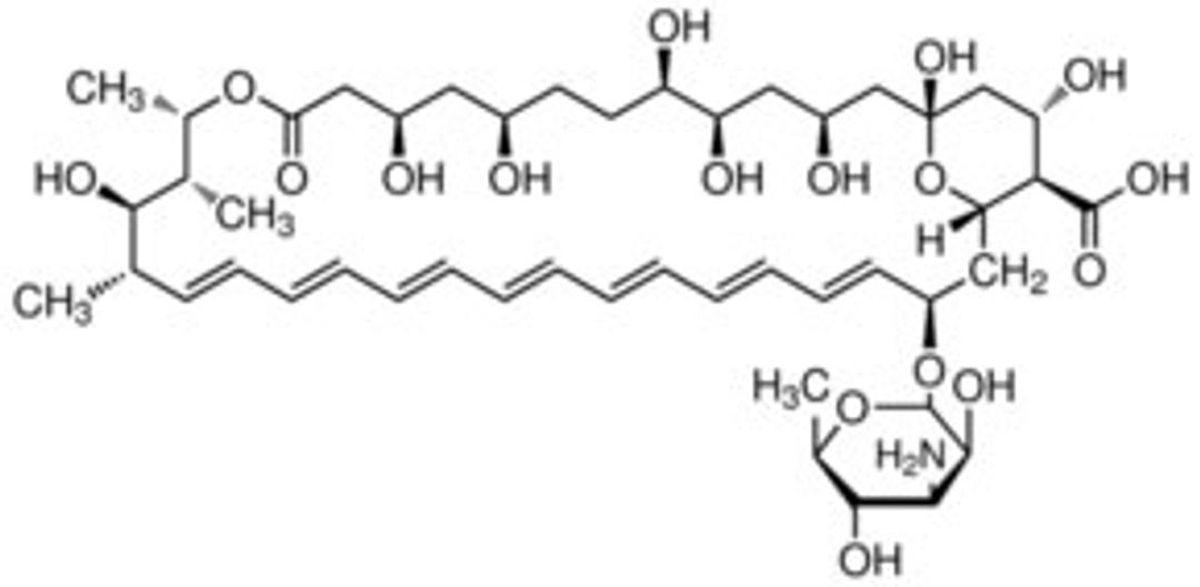Amphotericin B solubilized - Merck - Life Sciences
