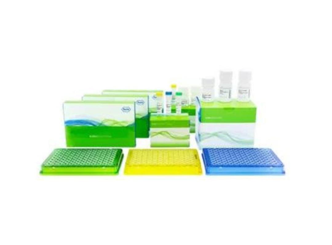 KAPA EvoPrep - Roche - Life Sciences