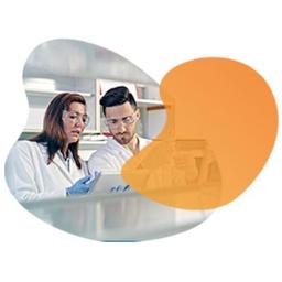 PCR assay design and development - LGC Biosearch Technologies - Life Sciences