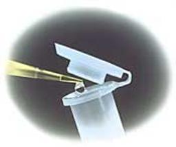 Competent Cells - Merck - Life Sciences