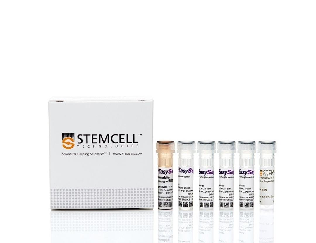 EasySep™ Release Human Biotin Positive Selection Kit - STEMCELL Technologies Inc. - Life Sciences