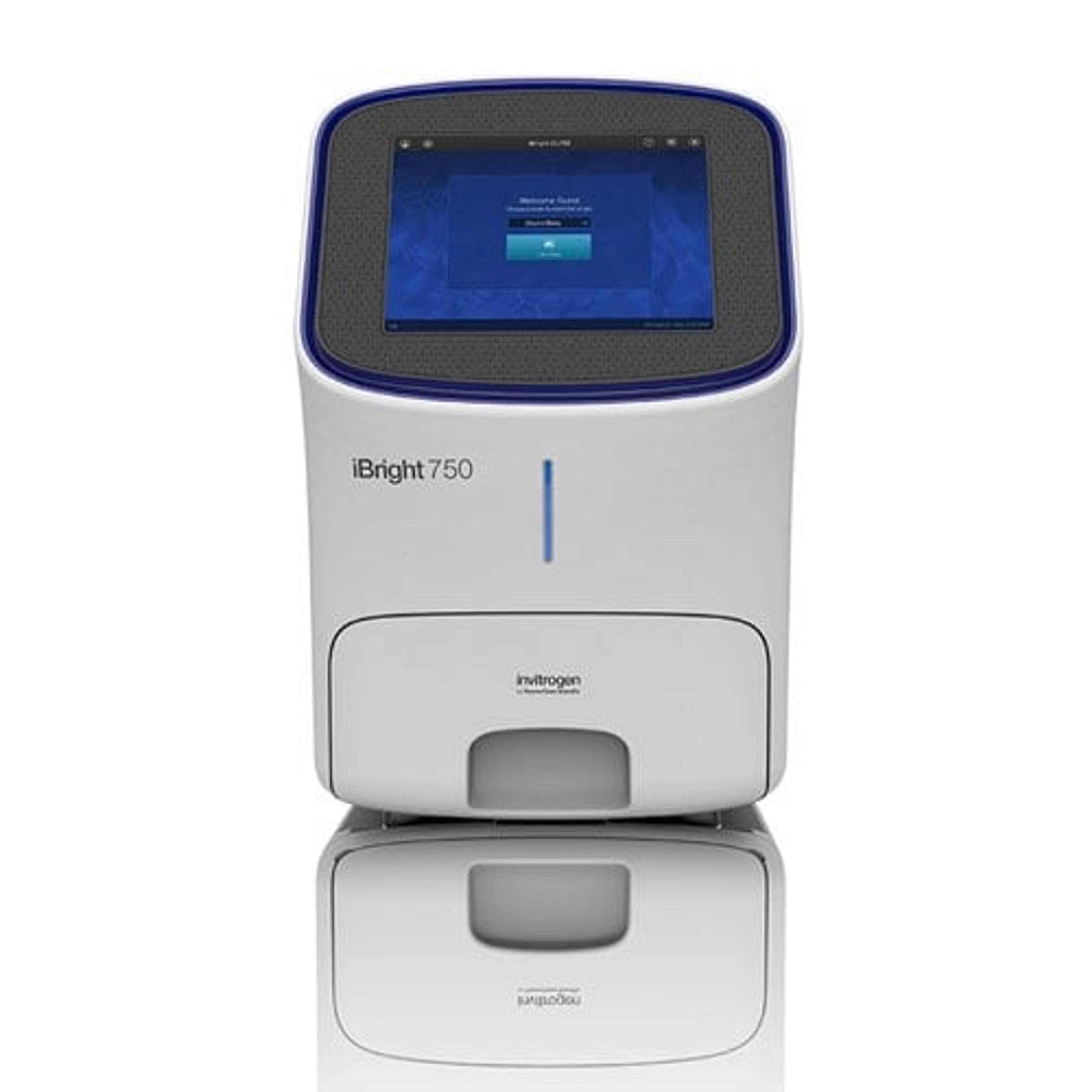 Invitrogen™ iBright™ CL750 Imaging System - Thermo Fisher Scientific - Life Sciences