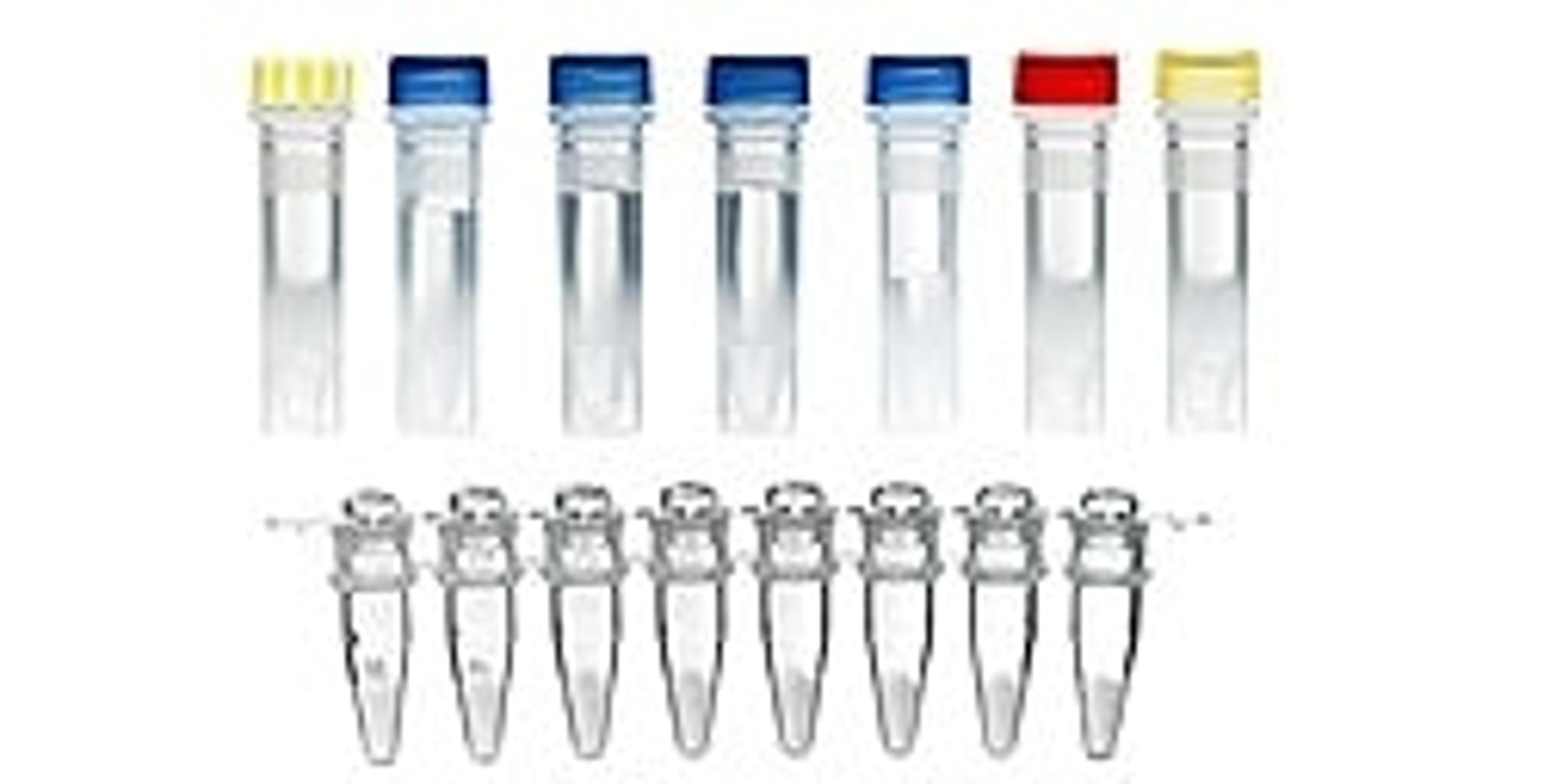 TwistAmp® exo +Campylobacter - TwistDx - Life Sciences