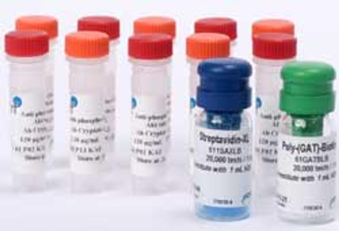 HTRF®  Kinase reagent toolbox - Cisbio Bioassays