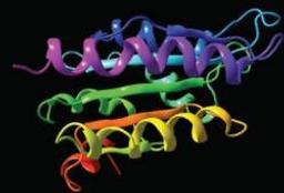 CLC Combined Workbench Software - CLC bio - Life Sciences