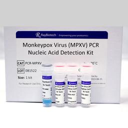 Monkeypox Virus Real-Time PCR Kit - RayBiotech Inc. - Life Sciences