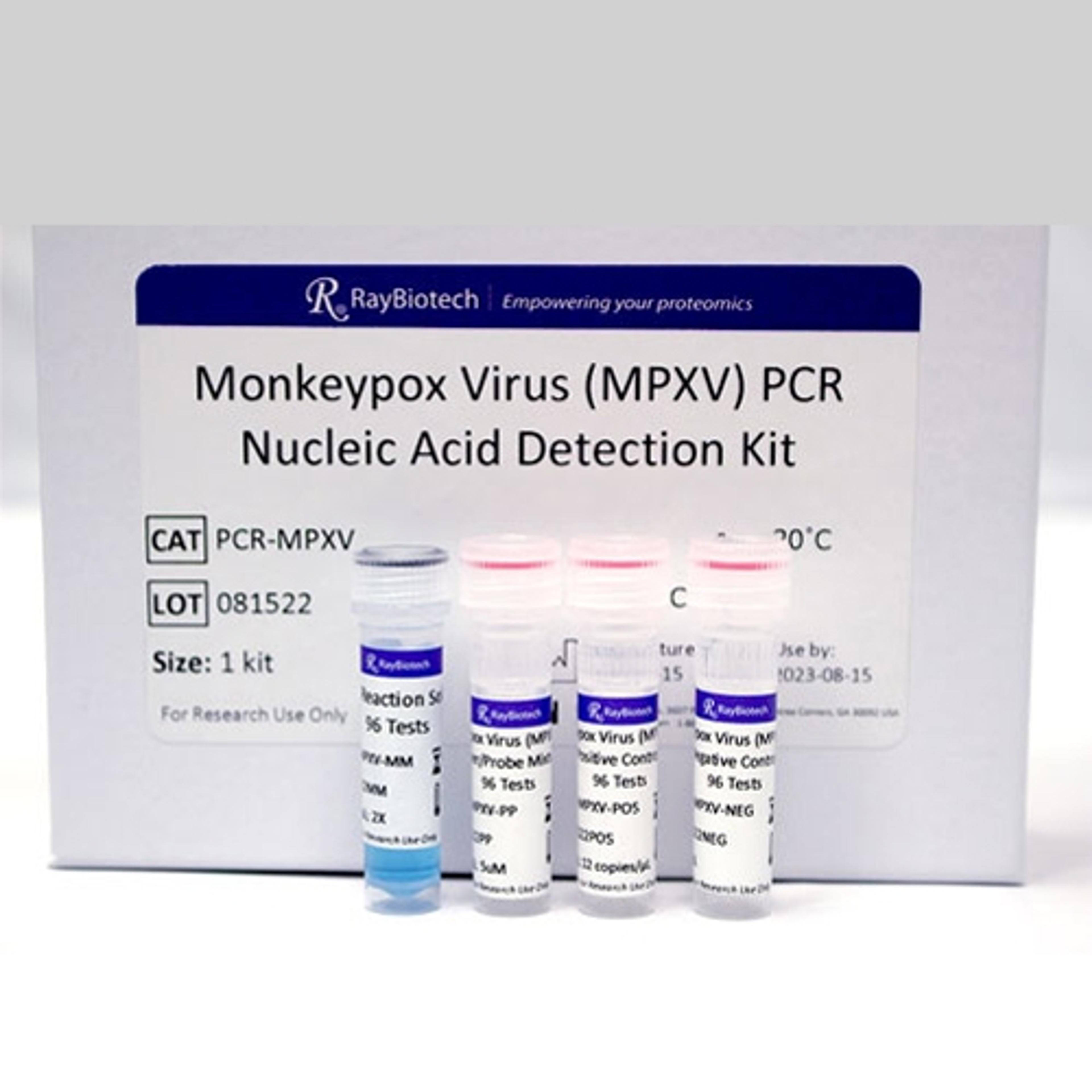 Monkeypox Virus Real-Time PCR Kit - RayBiotech Inc. - Life Sciences