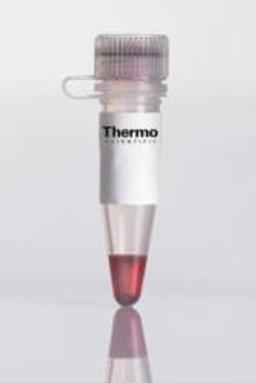 Thermo Scientific Red Hot Taq DNA Polymerase - Thermo Fisher Scientific - Life Sciences