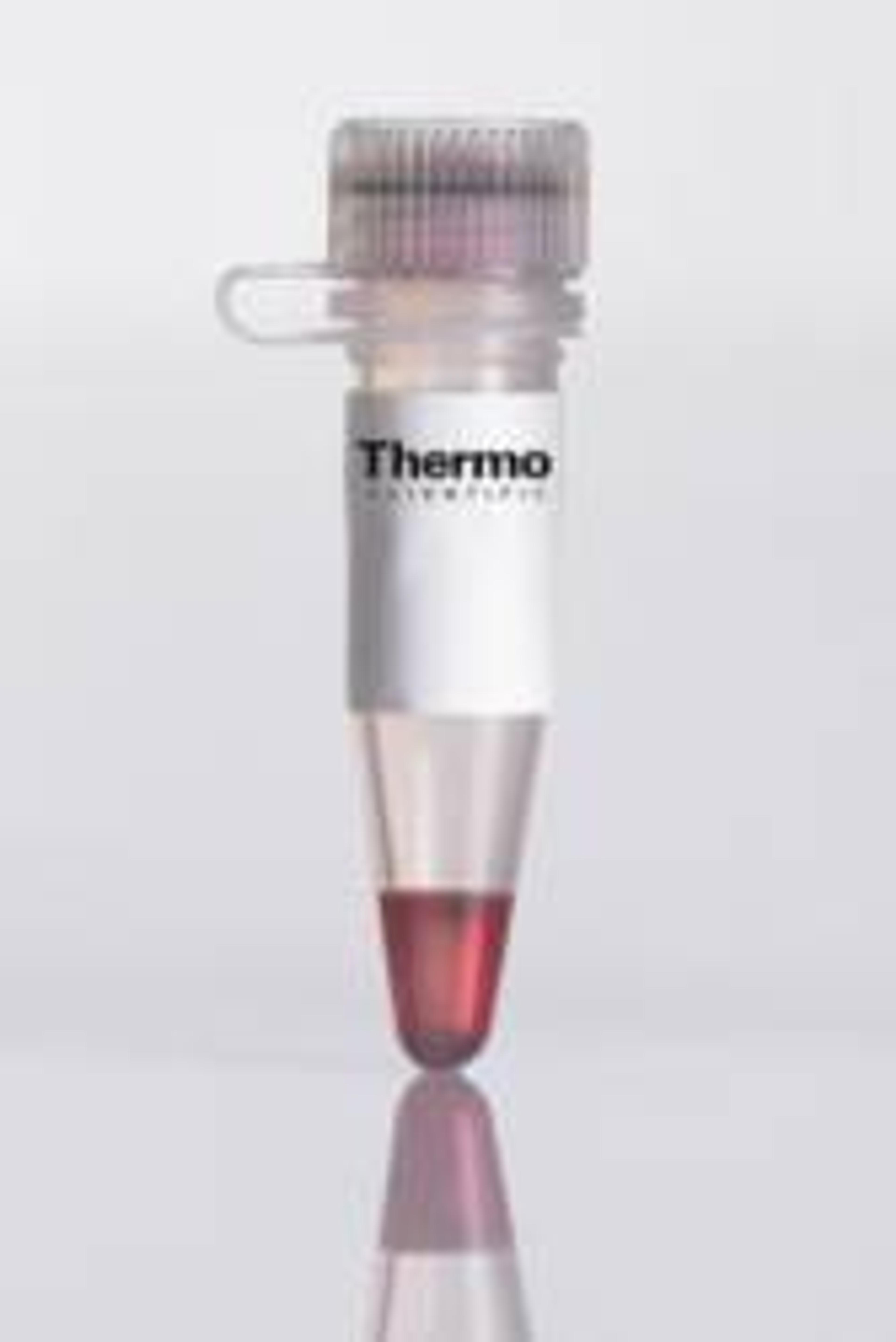 Thermo Scientific Red Hot Taq DNA Polymerase - Thermo Fisher Scientific - Life Sciences