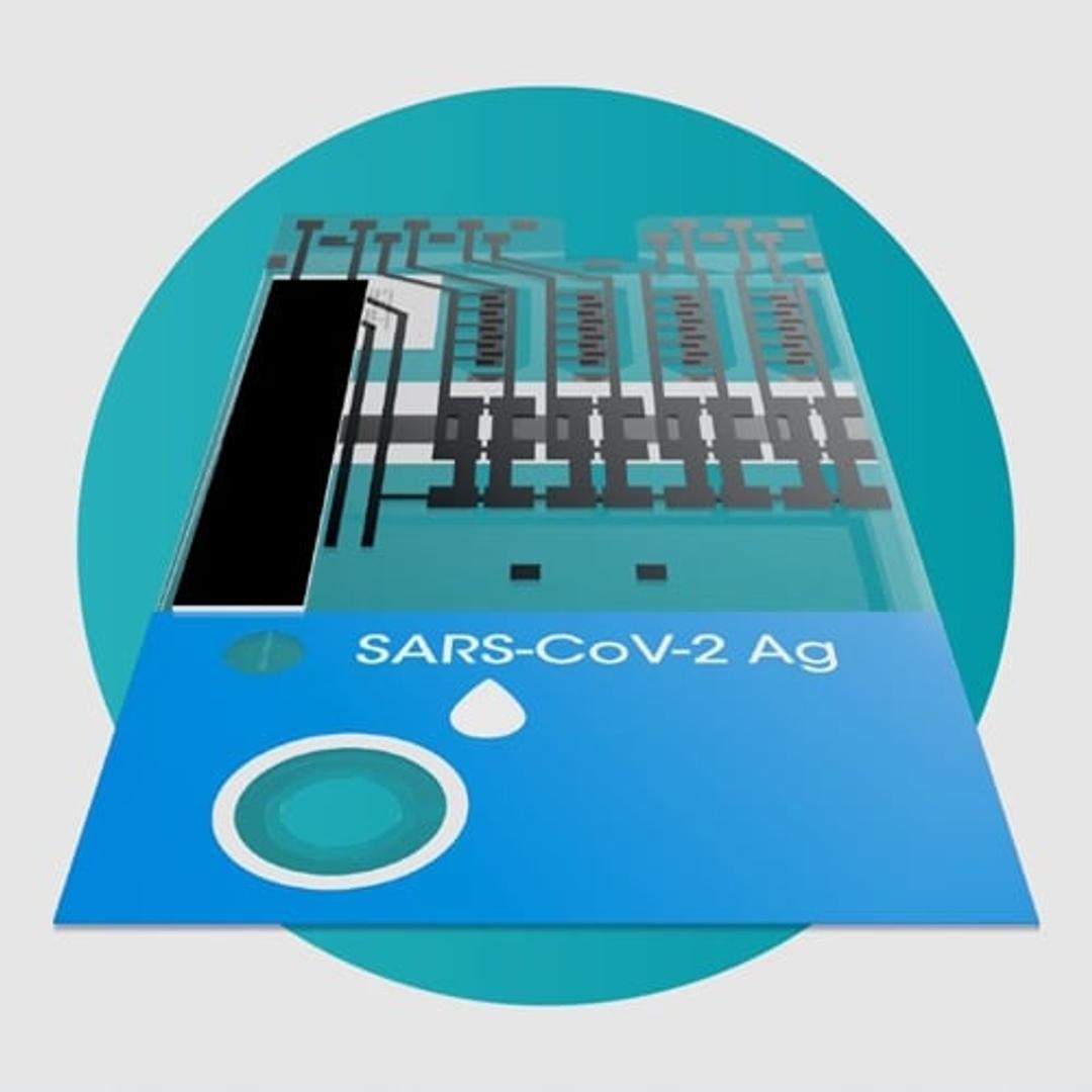 SARS-CoV-2 Ag Pool Test - LumiraDx - Clinical Diagnostics